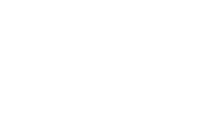 Bear 650